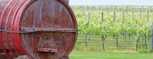 Margaret River Wine Region